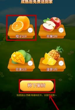 小编教你在美团中领取免费水果的操作流程。