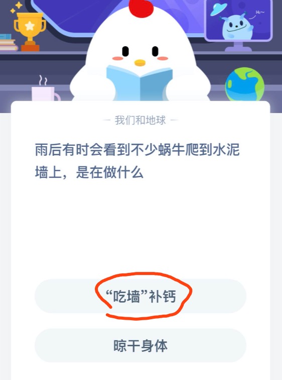 小编教你雨后有时会看到不少蜗牛爬到水泥墙上是在做什么。