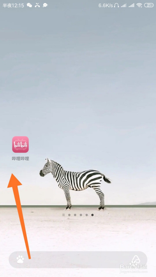 小编教你哔哩哔哩弹幕如何设置默认关闭。