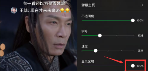 小编教你爱奇艺弹幕显示区域在什么地方设置。