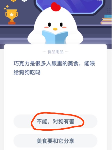 巧克力是很多人眼里的美食能喂给狗狗吃吗？2020年10月15日蚂蚁庄园今日课堂答题
