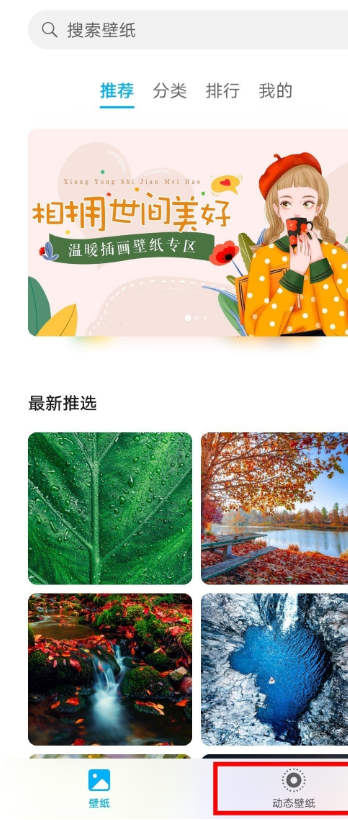 小编教你华为mate40e如何设置动态壁纸 华为mate40e动态壁纸设置教程。