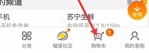 小编教你怎样支付苏宁易购数字人民币。