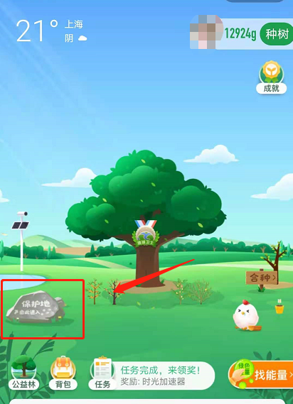 小编教你蚂蚁森林巡护动物怎么换。