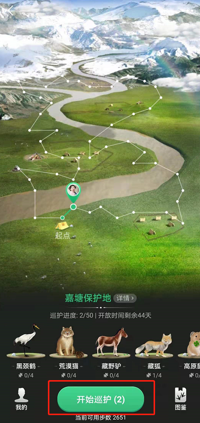 小编教你蚂蚁森林巡护动物怎么换。