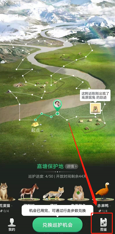 小编教你蚂蚁森林巡护动物怎么换。