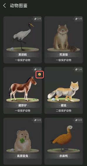 小编教你蚂蚁森林巡护动物怎么换。