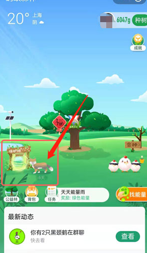 小编教你蚂蚁森林巡护动物怎么换。