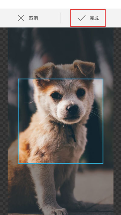 小编教你APlayer如何自定义歌曲封面。