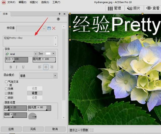 小编教你如何使用ACDSee进行图片编辑。