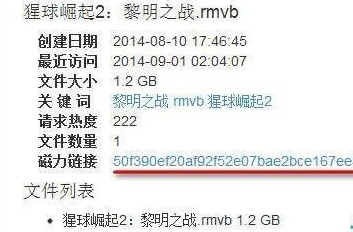 小编教你迅雷7使用磁力链接下载视频的操作教程