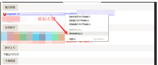 torrentkitty番号的使用教程截图