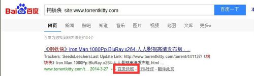 小编教你torrentkitty打不开的操作方法 小编教你如何在手机上申报契税