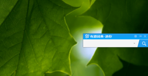 小编教你有道词典中迷你窗口的设置方法介绍