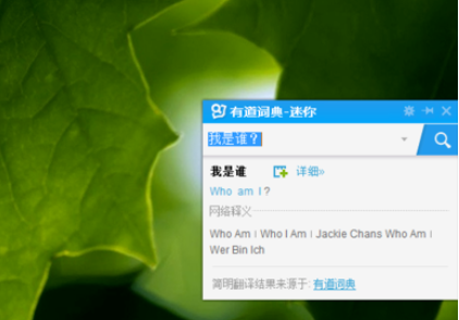 小编教你有道词典中迷你窗口的设置方法介绍