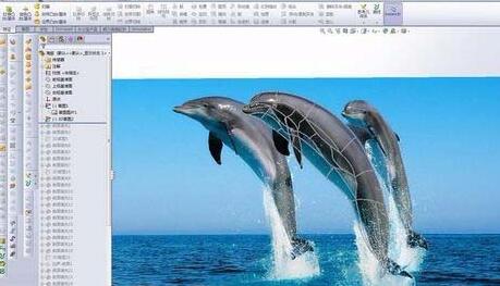 小编教你Solidworks绘制海豚的详细操作步骤 小编教你如何给win10系统硬盘分区