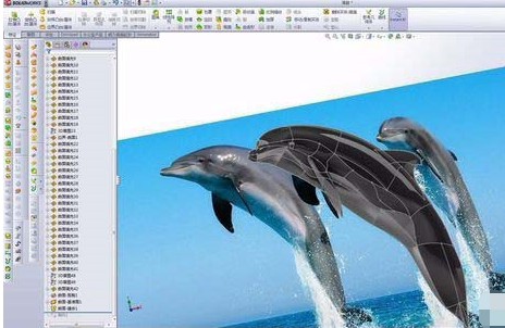 小编教你Solidworks绘制海豚的详细操作步骤 小编教你如何给win10系统硬盘分区