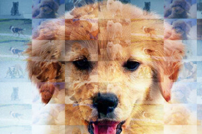 小编教你Photoshop设计人物照片马赛克拼图效果的详细操作 小编教你win10怎么改成win7