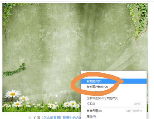 小编教你sai软件将两张图片插到一张纸里的操作步骤