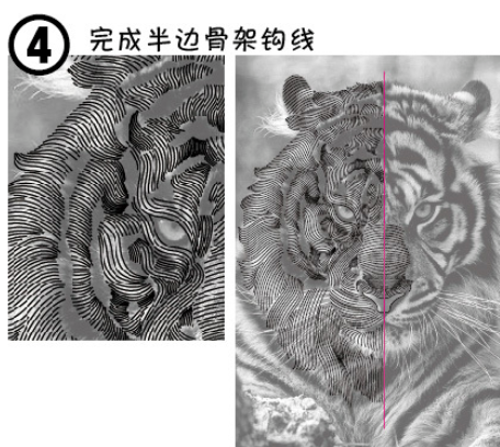 小编教你ai打造老虎头像的操作方法