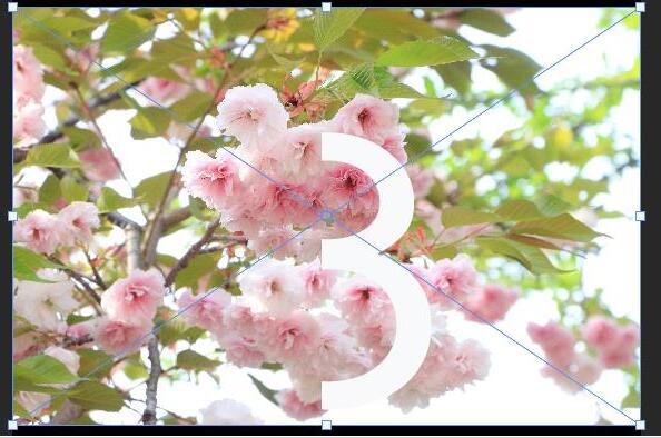 小编教你photoshop制作立体字填充花朵的效果的详细方法