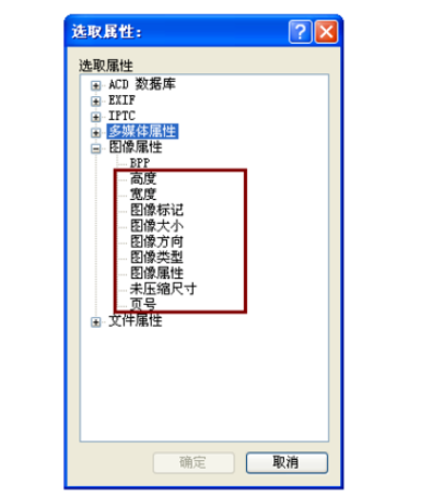 小编教你acdsee添加更多排序选项的具体步骤讲解