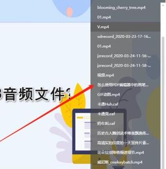 小编教你金舟影音使用操作内容