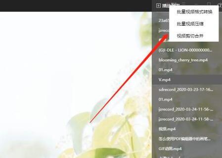 小编教你金舟影音使用操作内容