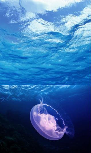 PS蒙版的作用有哪些?PS蒙版的用途分享