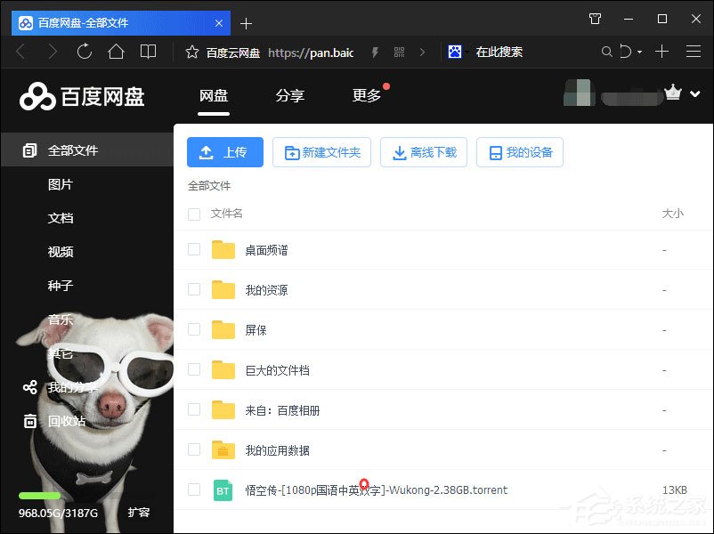 小编教你除了迅雷还有什么可以下载BT（除了迅雷还有什么可以下载资源）