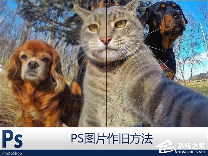 PS怎么把照片作旧?利用PS杂色作旧图层的方法