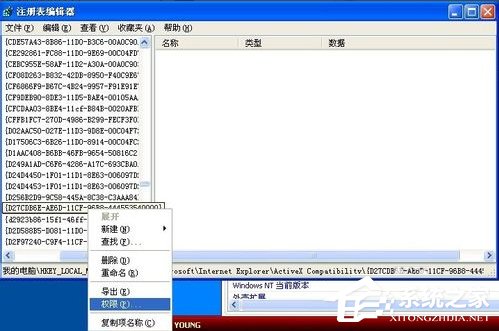 小编教你WinXP系统Flash