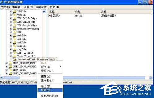 小编教你WinXP系统Flash