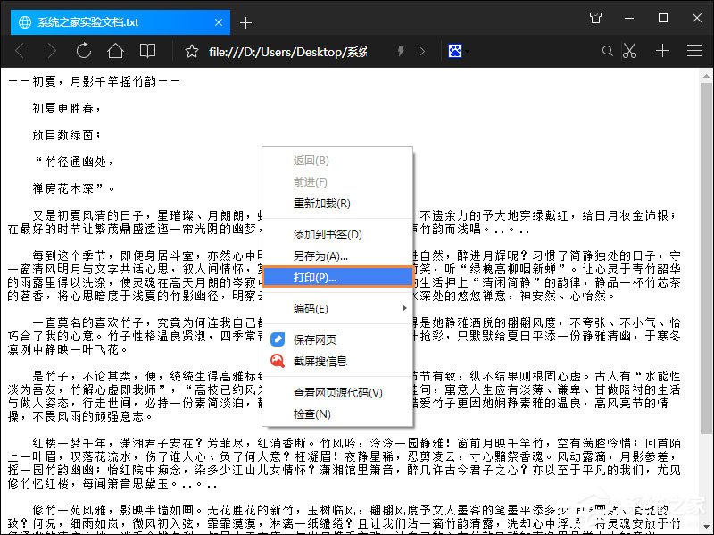 小编教你将TXT转PDF格式最快的方法