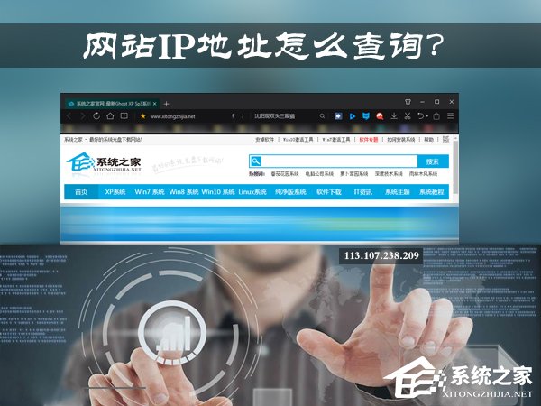 小编教你网址服务器IP地址怎么查找（服务器ip地址怎么填）