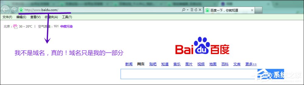 什么是网站域名?网站名称、URL又是什么?