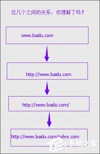 什么是网站域名?网站名称、URL又是什么?