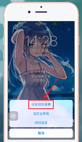 小编教你熊猫动态壁纸APP设置锁屏具体操作流
