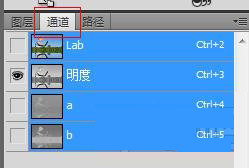 小编教你Photoshop制作出灰度图片具体方法介绍