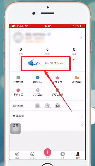 小编教你皮皮搞笑中养鲲具体操作步骤