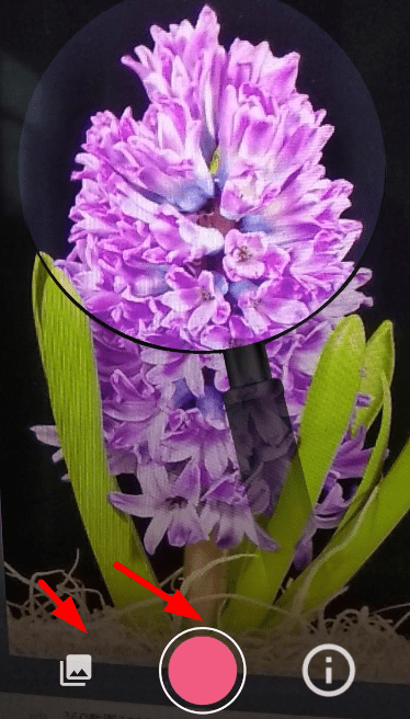 小编教你拍照识花详细使用步骤介绍