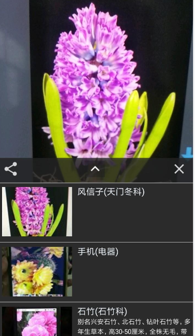 小编教你拍照识花详细使用步骤介绍