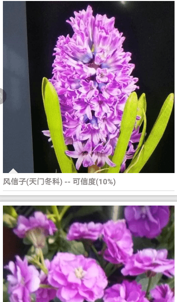 小编教你拍照识花详细使用步骤介绍