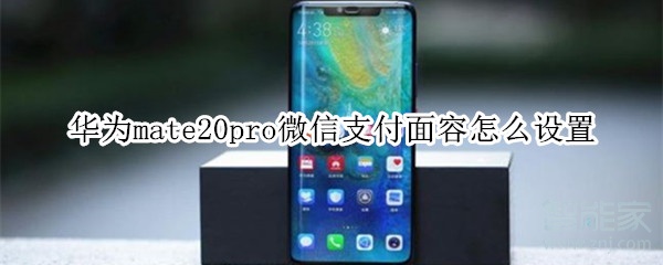 小编教你华为mate20pro怎么设置微信支付面容。