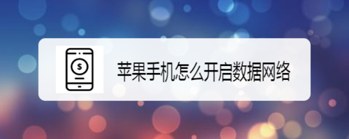 小编教你苹果手机如何开启数据网络。