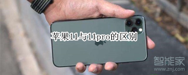 小编教你苹果11与11pro有哪些区别。