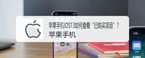 小编教你苹果手机ios13怎么查看已购买项目。