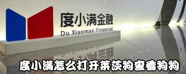 小编教你度小满如何打开莱茨狗查看狗狗。