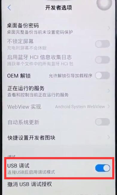 小编教你vivoz1开启usb调试的操作流程。