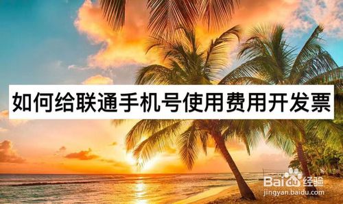 小编教你怎么给联通手机号使用费用开发票。